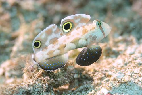 2017 06-18%2007.34.31_Vivid_500_web60%25