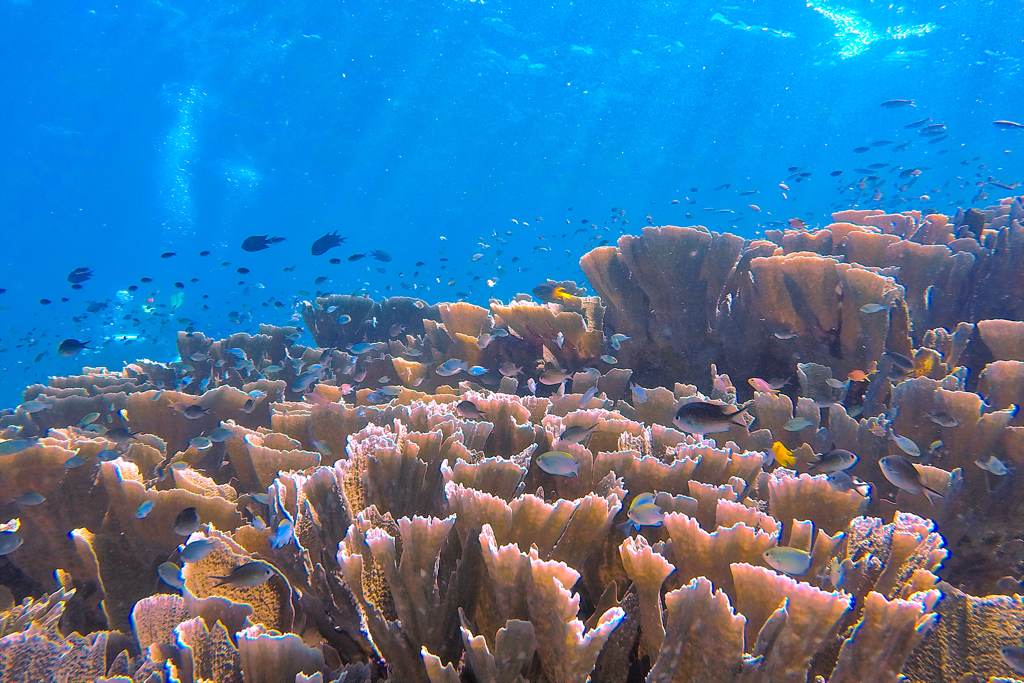 GOPR0616_Vivid%2B_1024_web60%25