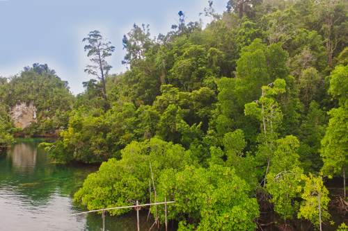 Excursion no. 5: Inside the Hidden Bay