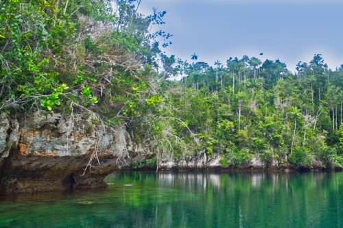 Excursion no. 5: Hidden Bay