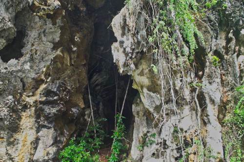 Excursion no. 5: Bat cave in Hidden Bay