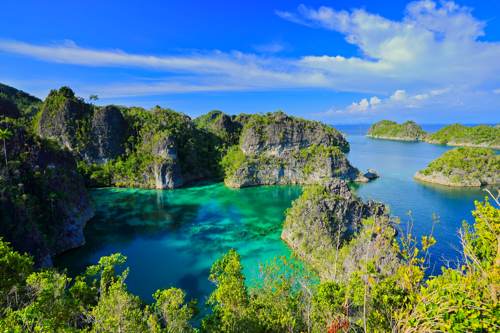 Excursion no. 6 or 7: Star Lagoon