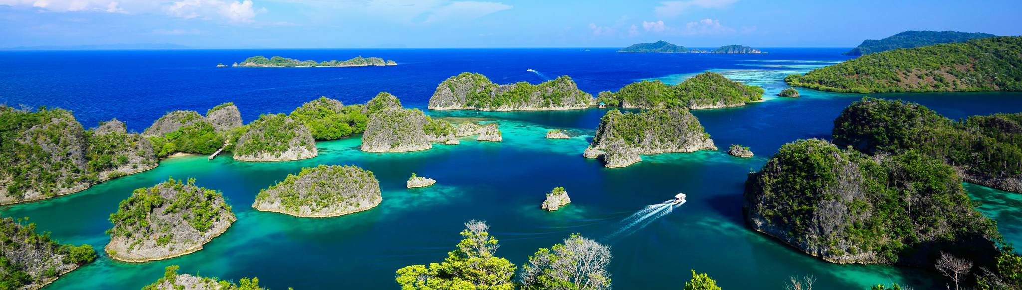 click for details Pianemo landscape, Raja Ampat