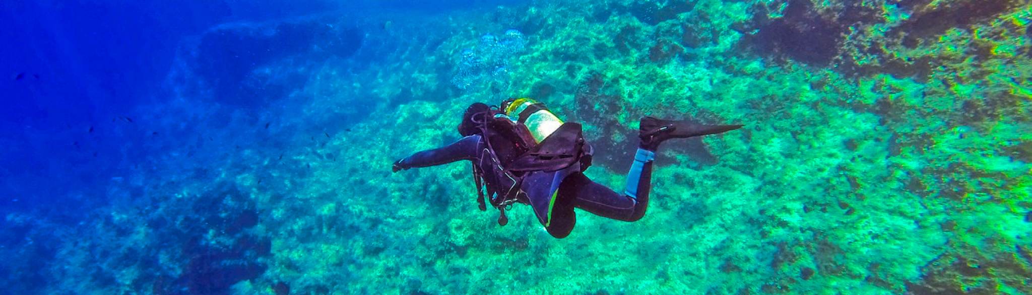 click for details Scuba Diver in Raja Ampat reef